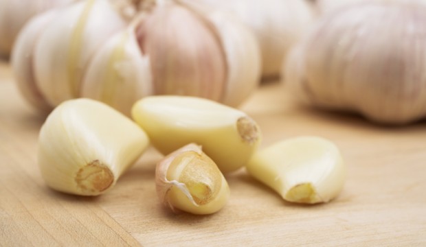 garlic