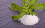 stevia rebaudiana herb as sugar replacement