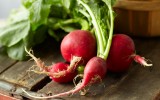 radish