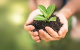 Soil