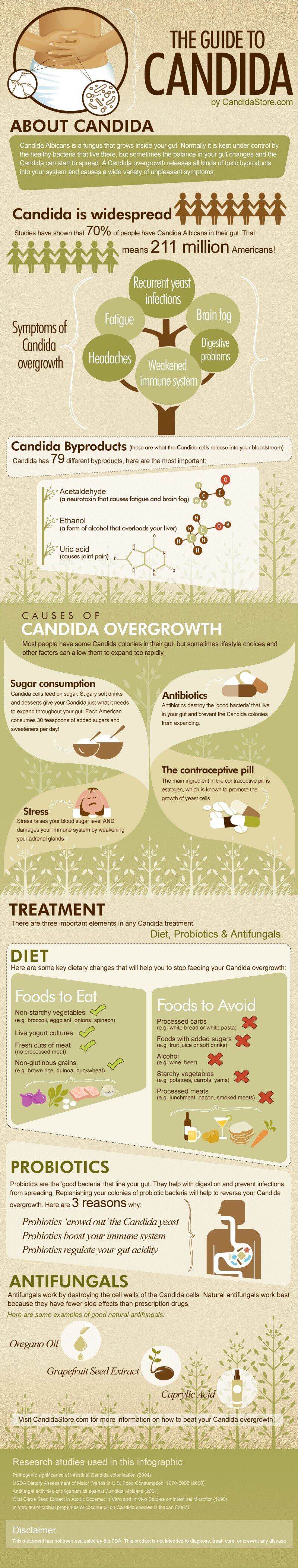 a-visual-guide-to-candida-the-candida-diet