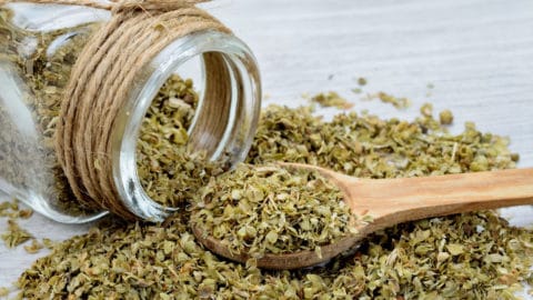 Oregano leaf is an antifungal to kill Candida