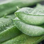 The Antifungal Properties Of Aloe Vera