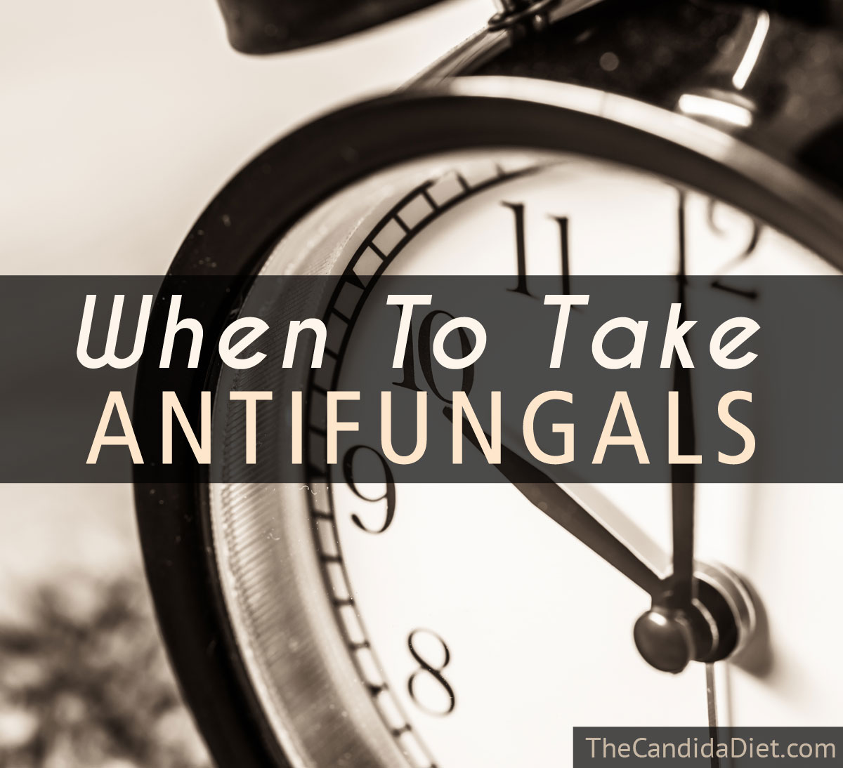 When Should You Take Antifungals? » The Candida Diet