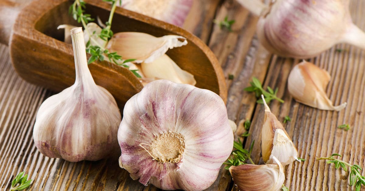 Antifungal foods to fight Candida: garlic, onion, rutabaga, turmeric, ginger.