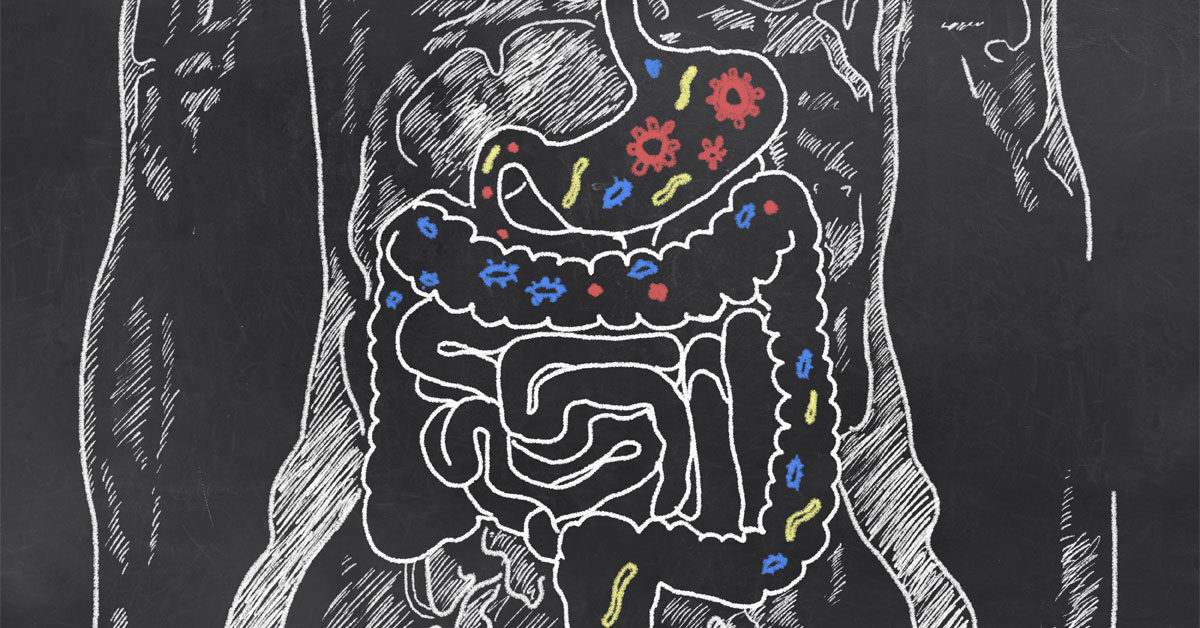 Swedish Bitters promote good digestion, better immunity, and can help to fight a Candida overgrowth too.