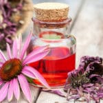 Echinacea: boost immunity, lower blood sugar, reduce inflammation and Candida symptoms