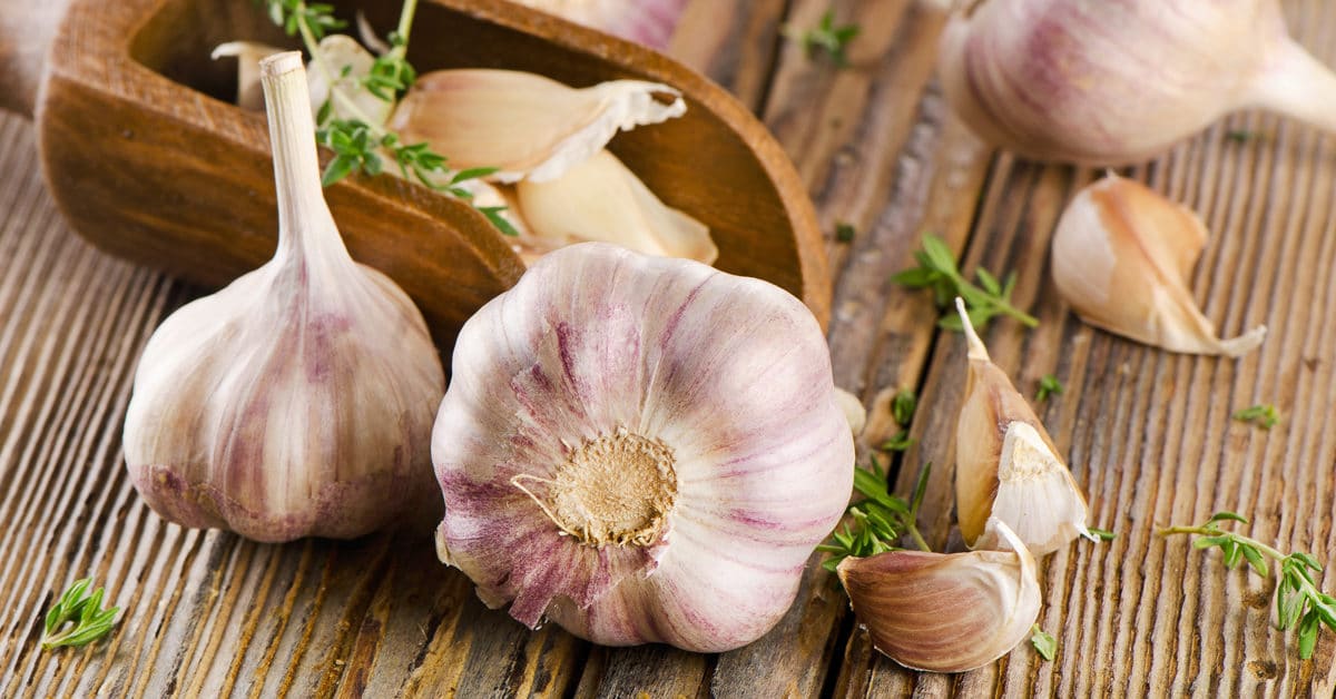 Garlic as a natural antifungal treatment