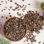 Milk thistle seed for liver health