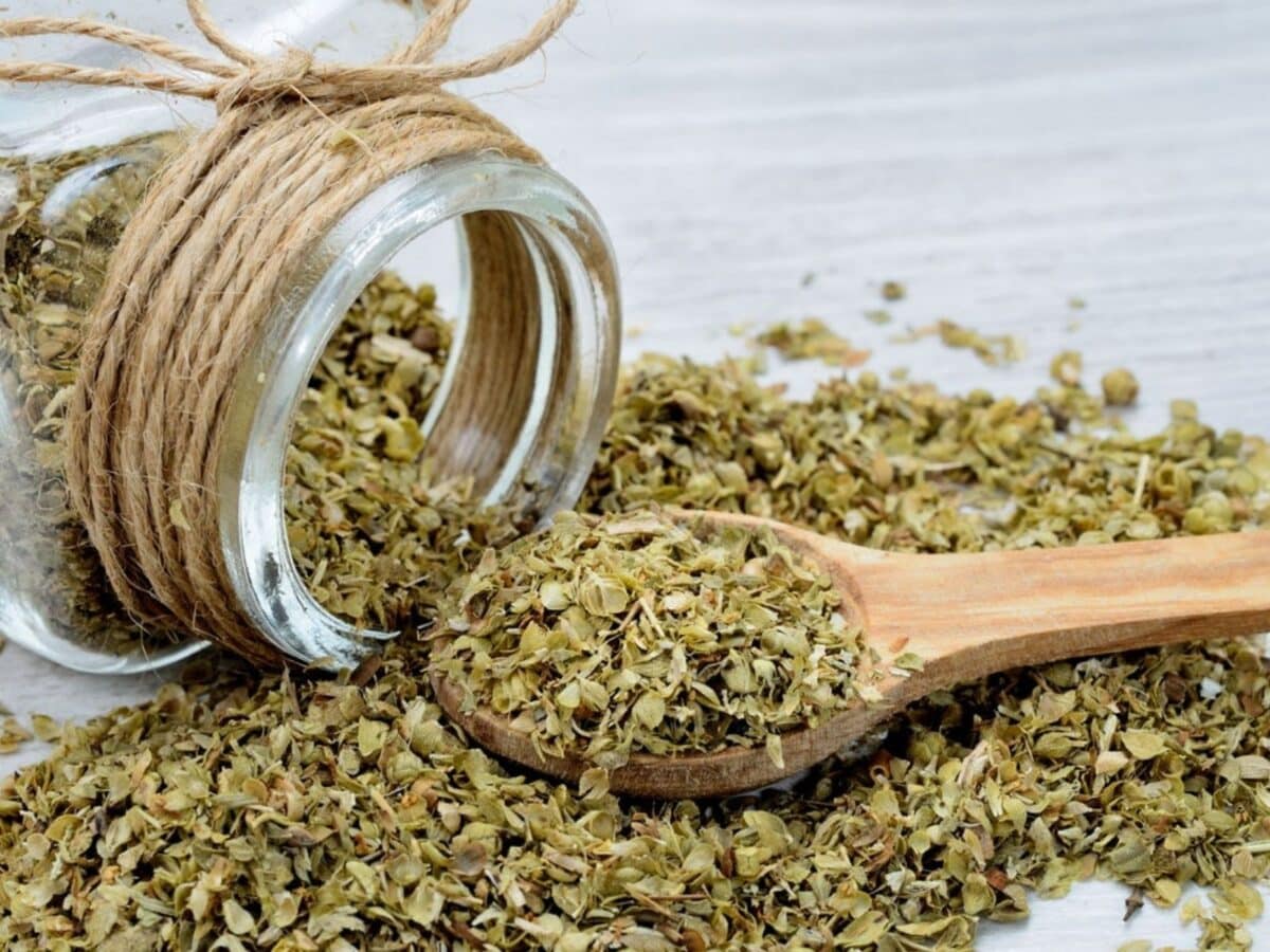 oregano