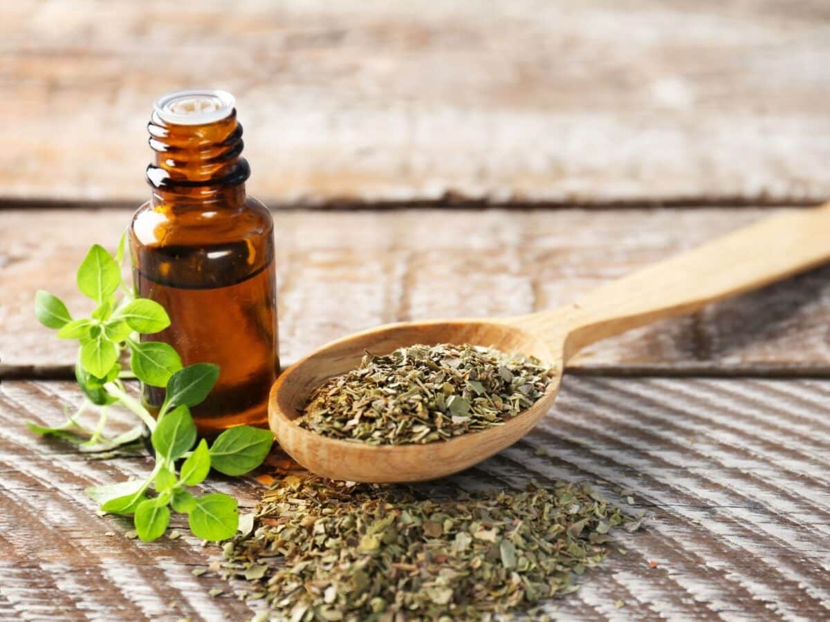 oregano oil