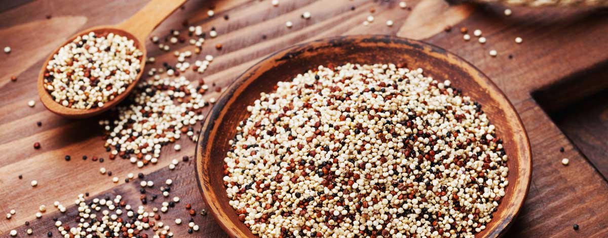 Grains and pseudo-grains on the Candida diet: quinoa, millet, amaranth, and buckwheat