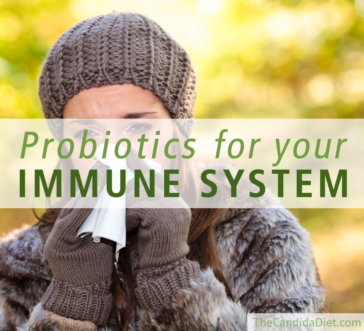 Probiotics And Your Immune System » The Candida Diet