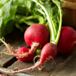 radish