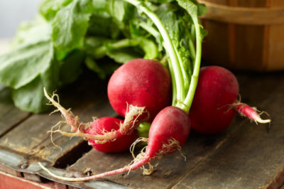 radish