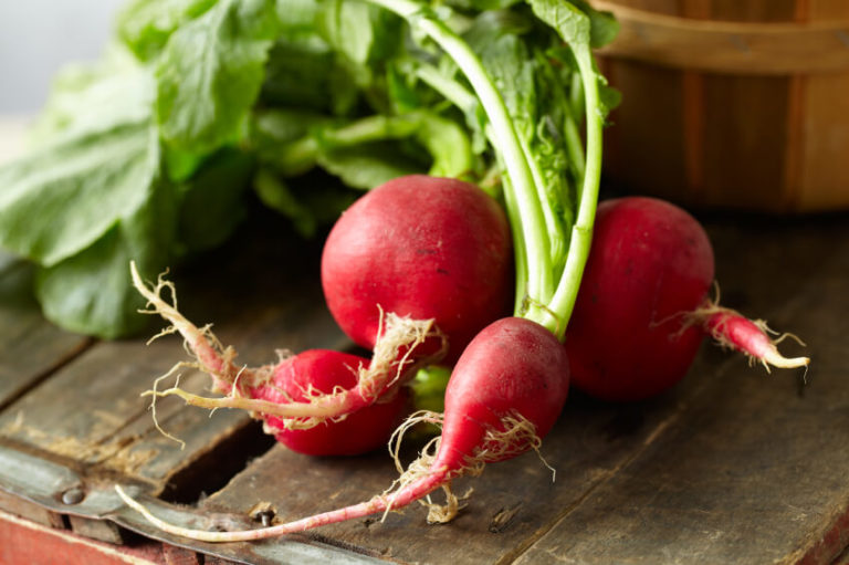 Radish A Natural Antifungal » The Candida Diet