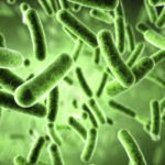 Gut Flora