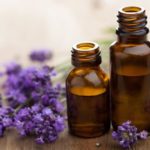 lavender essential oil