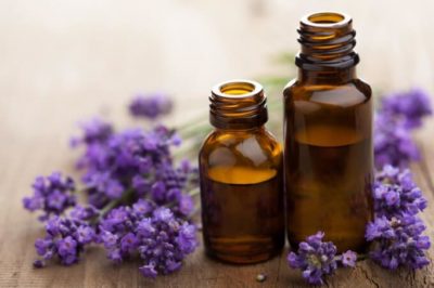 lavender essential oil