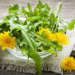 Dandelions greens and flowers