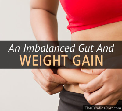 Gut flora and weight gain