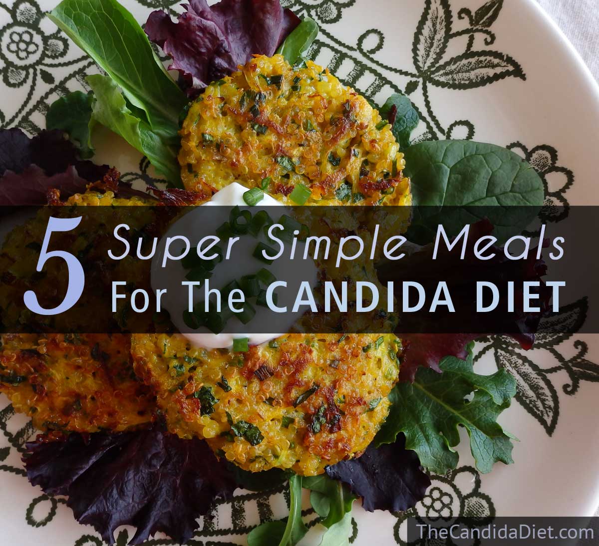 Five Super Simple Meals For Your Candida Diet » The ...