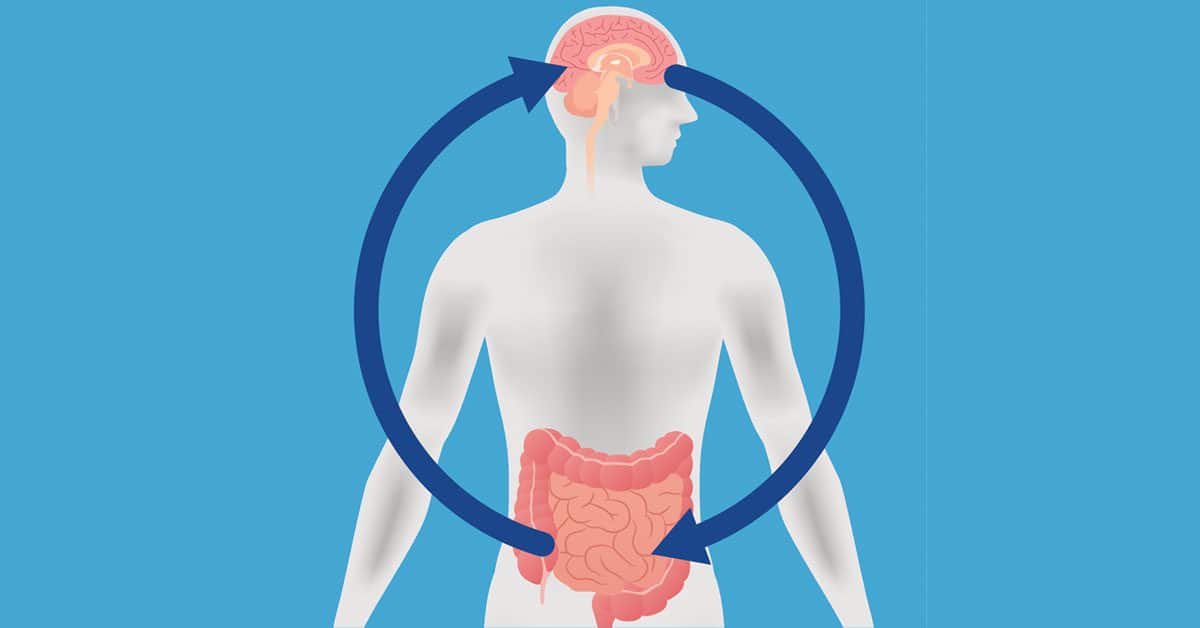 The gut-brain axis