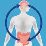 The gut-brain axis