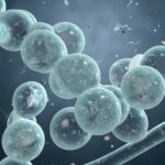 Candida auris: Symptoms and Treatment