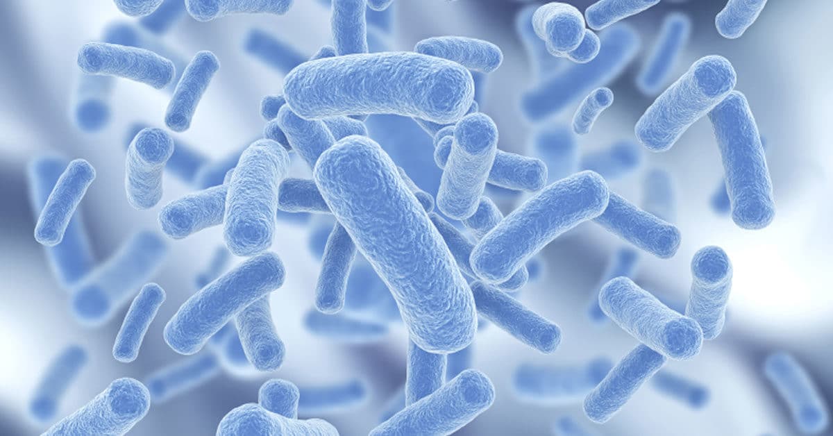 Probiotics can help to fight a Candida overgrowth