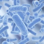 Probiotics can help to fight a Candida overgrowth