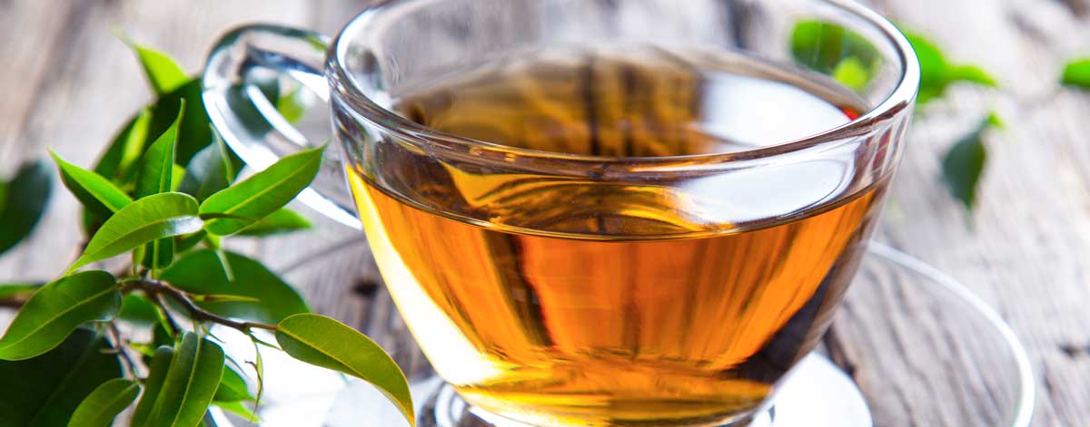 Drinks on the Candida foods list: green tea, herbal teas, matcha, chicory coffee, decaf coffee