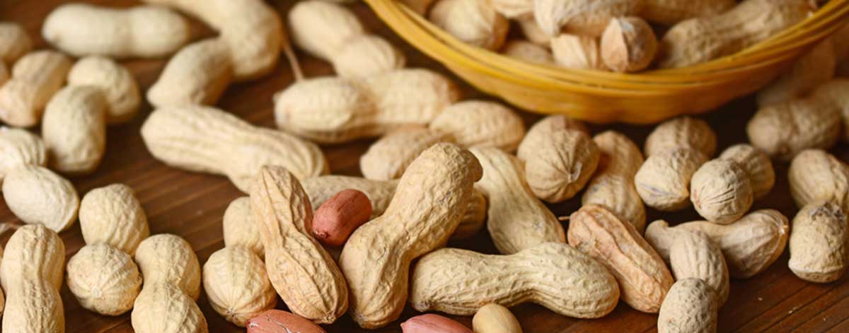 Moldy nuts are one of the foods to avoid on the Candida diet.