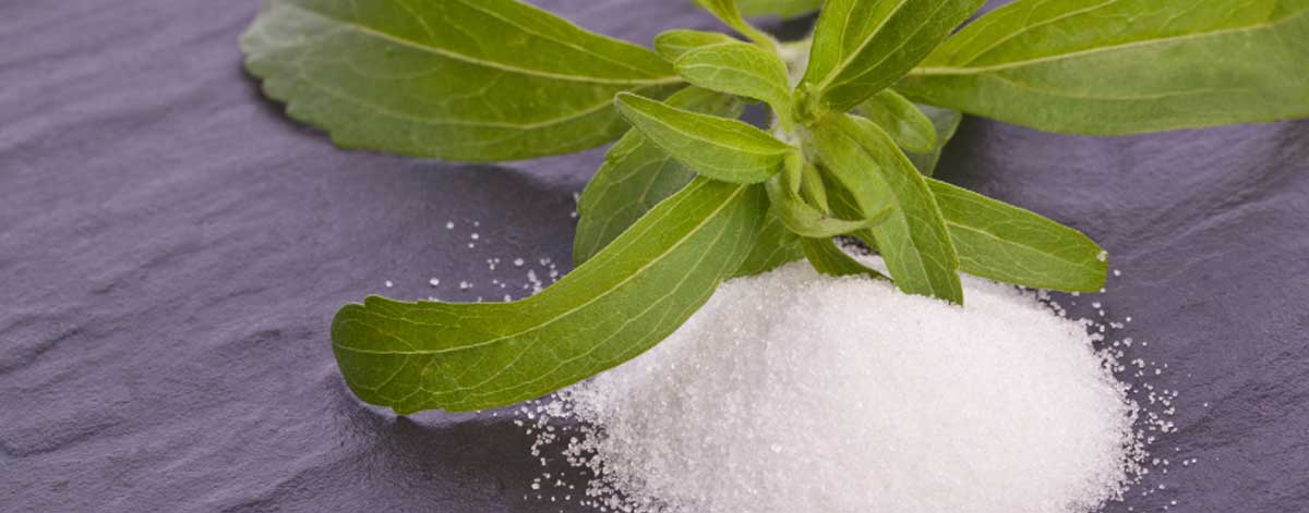 Sweeteners for your foods to eat list: stevia, xylitol, monk fruit extract, erythritol