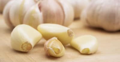 Garlic supplements and food - antifungal and antibacterial properties