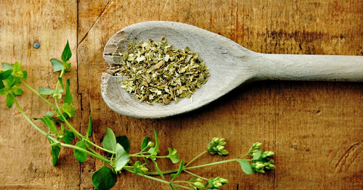 Oregano is a natural antifungal