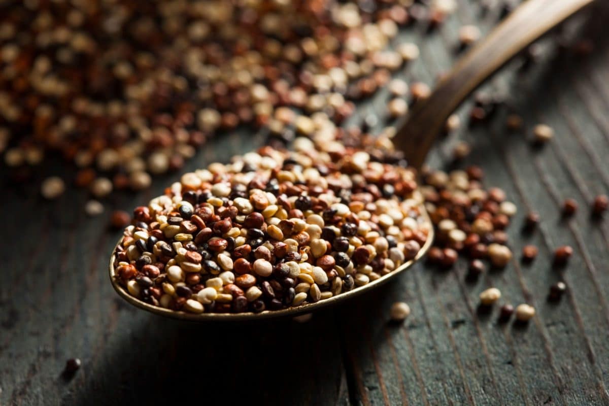 Wild quinoa: a low-carb grain